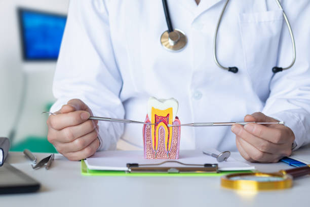 Best Emergency Wisdom Teeth Removal in Woodville, TX